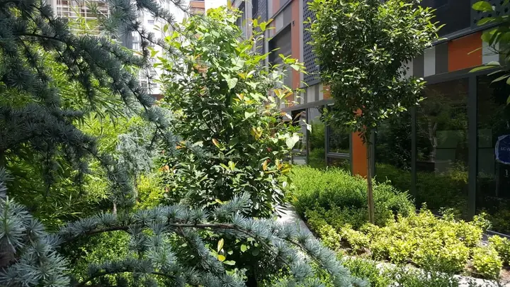 A1 Residence – peyzaj